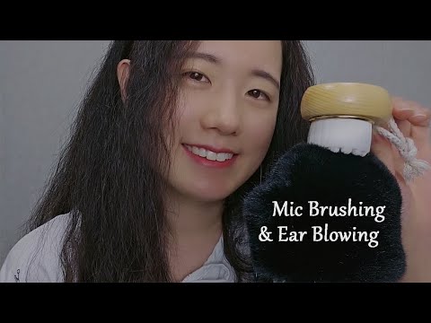 ASMR Fluffy Mic Brushing & Ear Blowing (1 Hour, No Talking)