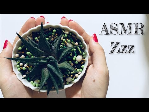 ASMR Decorando uma plantinha com miçangas