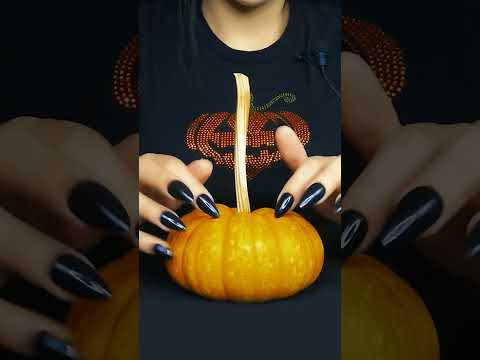 ASMR Pumpkin tapping!