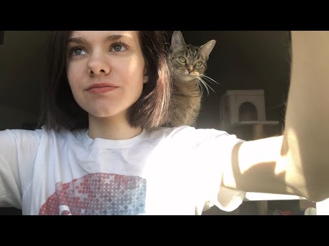 ASMR | Window Tapping ft. My Cat | Tapping, Scratching