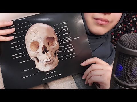ASMR | STUDYING THE ANATOMY OF YOUR FACE (inaudible whispering, mouth sounds)