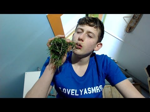 ASMR With Weed🤤| lovely ASMR s