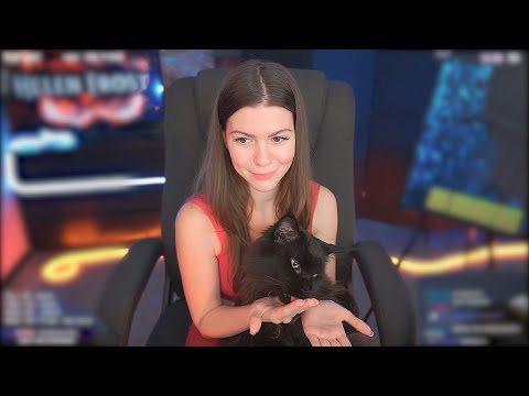 Мурчание кота (стрим момент)  ❤️ Cat purring (stream moment)