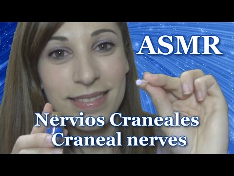 ASMR español examen nervios craneales remake 3Dio / craneal nerves binaural