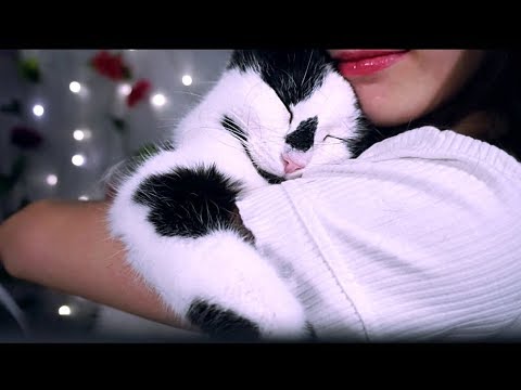 ASMR Cat Cuddles & Purring (Very Cute Kitter WARNING) 🐱🐱🐱🐱