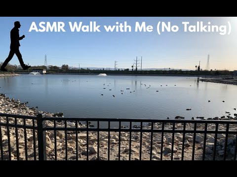 ASMR Walk With Me (No Talking)