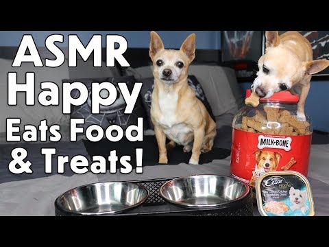 ASMR | Happy Eating to Give You Tingles! (DOG ASMR)