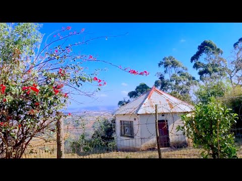 Outside ASMR Triggers | Teaching You Interesting Facts About South Africa Eastern Cape (Soft-Spoken)