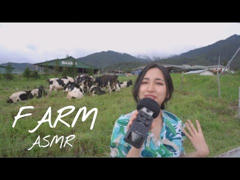 || ASMR Public at A Farm || (DESA Farm)