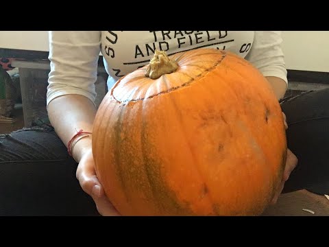 ASMR Pumpkin Carving