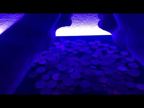 My boyfriend tries ASMR with coins (no talking) 😴✨💖