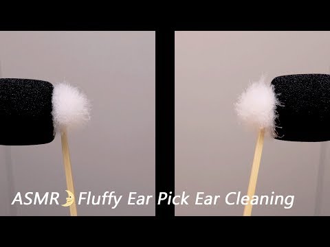 [ASMR] Fluffy Ear Pick, Ear Cleaning(Both Ears) 1h / No Talking