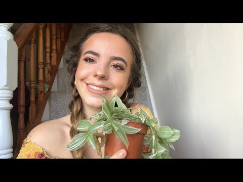 *ASMR*  🌿 Tingly Plant Tapping 🌿 ❤︎ w/shushing, hand-movements and whisper ❤︎