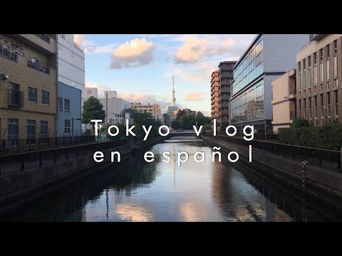 Tokyo vlog  / un día de visitar al museo de arte / 現代美術館 / スペイン語でvlog