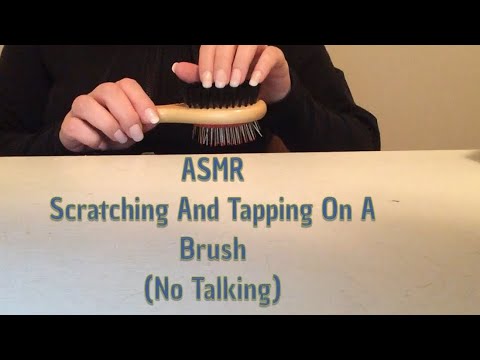 ASMR Scratching And Tapping On A Brush (No Talking)