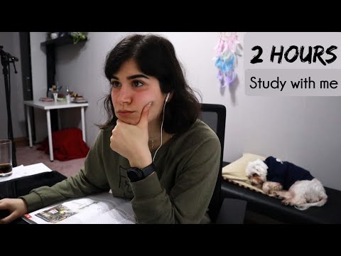2 HOUR STUDY WITH ME | Fire sounds, 10-min Break, No music