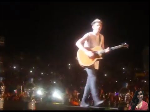 Concert  Best Song Ever HARRY FALLS Rio de Janeiro 08/05/14  Video Commentary/Review