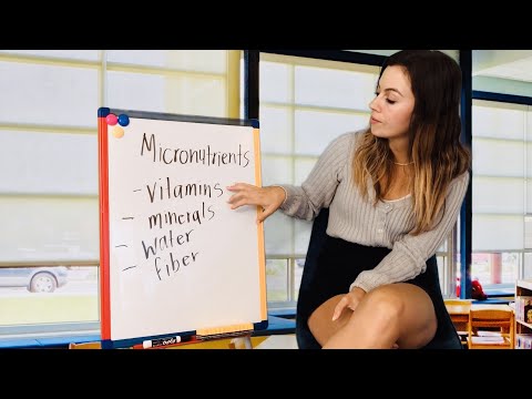 [ASMR] Nutrition series - macronutrients, micronutrients, vitamins, minerals   (teacher roleplay)