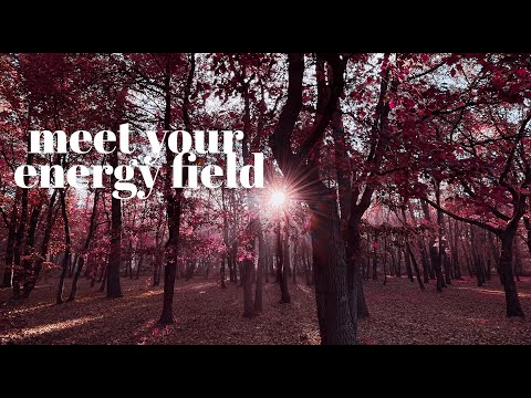 Meet your Energy Field: Tips from a Reiki Teacher