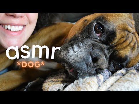 ASMR w/ A DOG NAMED BINKY [SCRATCHING, PETTING, WHISPERING]