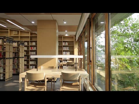 [White Noise] Afternoon in Library | Study Ambience