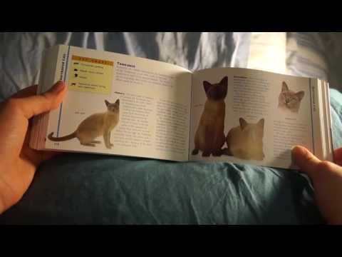 Whisper: Book of Cats!! & Page Flipping