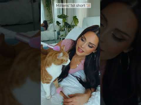 ASMR Face Brushing #short with Special Guest 🐈
