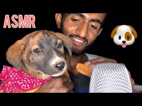 ASMR (With My New Puppy Dog)🐶😁
