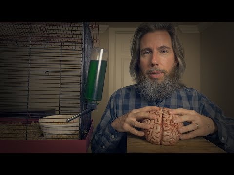 How To Care for a Pet Brain | ASMR