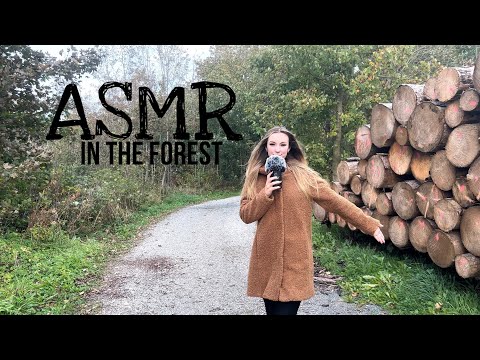 ASMR in the forest🌲