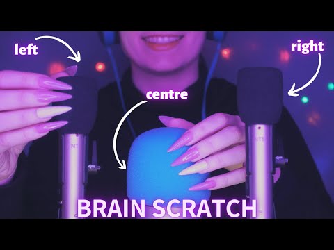 ASMR Mic Scratching - Brain Scratching for People with Short Attention Span - No Talking 4K