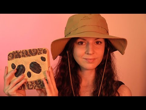 ASMR Digging for Fossils - Realistically paced brushing, scraping, dusting