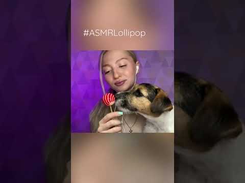 ASMR LOLLIPOP with a dog