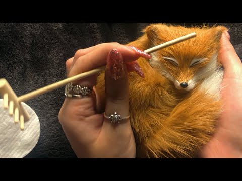 ASMR triggers on a fox 🦊 (brushing, stroking, cleaning) to help you relax