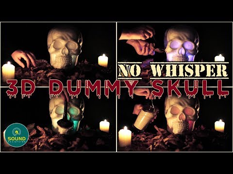 ASMR 3D Spooky Shakespeare Skull Dummy Head • SOUNDsculptures • (170)