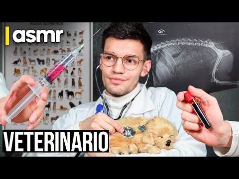 ASMR roleplay medico veterinario ASMR español