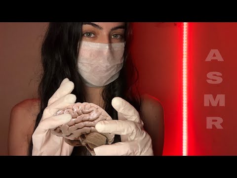 ASMR MASSAGEANDO SEU CÉREBRO!