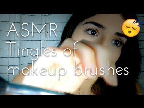 Mini ASMR 💋 Camera Brushing - tingles of makeup brushes - Pincéis da câmera e tuc tuc, sk sk, shh