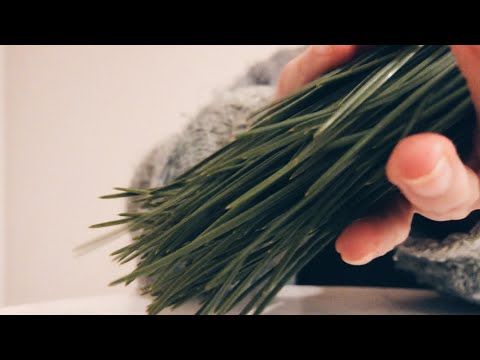 ASMR | Nature in my hands | Crinkles