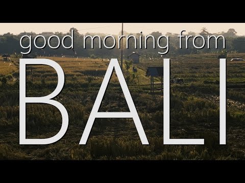 ASMR Chill out with me in Bali ~ Relaxing sunrise ambience! ✌(4K)