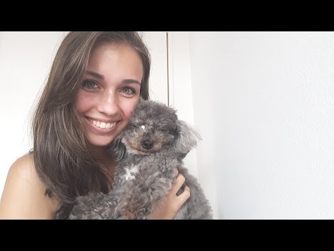 ASMR: Best Dog Massage EVER! Hand Movements, Mouth sounds and Tongue Clicking(BINAURAL)