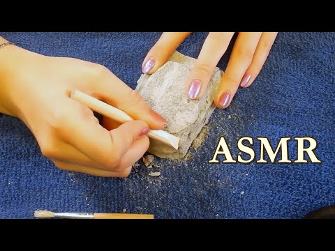 ASMR | Dinosaur Excavation Kit 🦖 Tapping, Scraping, Brushing