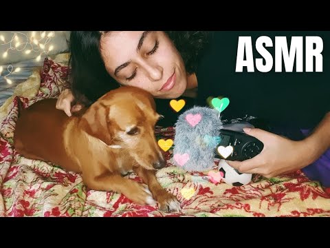 ASMR APLICADO NA NOSSA VIRA-LATINHA 🐶❤ (Doing ASMR on my dog PTBR)