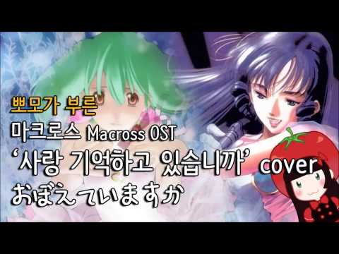 마크로스 OST 사랑, 기억하고 있습니까 by.뽀모 (cover) マクロス OST 愛・おぼえていますか