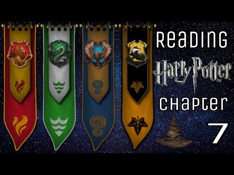 ASMR ~ Reading You Harry Potter and the Philosopher’s Stone // Chapter 7 // Part 2