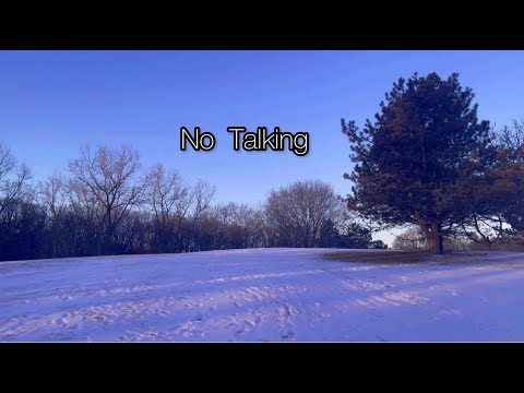 ASMR No Talking - Walking Sounds! ~ Nature & Crunchy Sounds [Snow Crunchy & Spring Leaves]