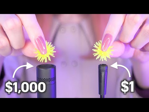 $1 Microphone VS $1,000 Microphone ASMR / Which One Can Give You the Tingle?