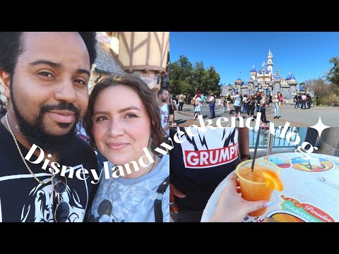 Vlog | Chill Date At Disneyland 🎡🎠 DCA's Wine & Food Festival🍷  Realistic Sunday Reset