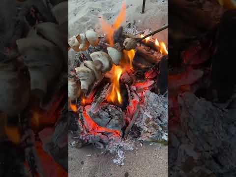 ASMR roasting mushrooms on a fire