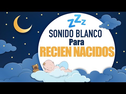 Sonido BLANCO Para Bebés Recién Nacidos e INSOMNIACOS 🌙 Bosque Relajante ASMR 🌙 Murmullo Latino